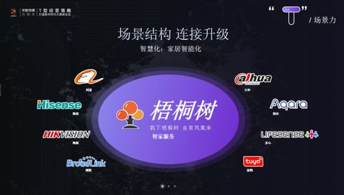 正定論道 華數傳媒蘇松解析T型經營策略，以數字文創內容服務打造大屏新生態